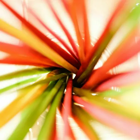 아파트 Un Di Casa